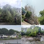 ‎Tres árboles y un poste caído, saldo preliminar del ventarrón en VdeA