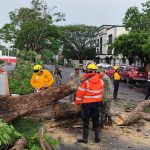 Ayuntamiento de Colima atiende de forma oportuna incidencias en Av. 20 de Noviembre, Placetas Estadio e Ignacio Sandoval.