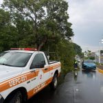 Atienden cuerpos de emergencia 76 incidentes por ventarrón y tormenta en Colima, Villa de Álvarez y Cuauhtémoc, este sábado