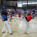 Con éxito concluyó el Campamento Estatal de Taekwondo apoyado por Gobierno de Indira Vizcaíno