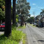 Intensifican labores de mantenimiento en los camellones de la V. Carranza, la Avenida de la Paz y Prolongación Av. 20 de Noviembre