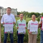 ‎‎Invita Tey a propietarios de lotes baldíos a mantenerlos limpios
